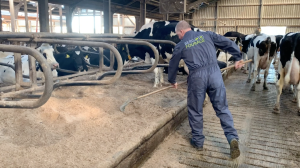 Harken vlas alternatief-kalk Scholten Meilink