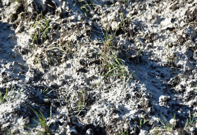 Calhix uitrijden - Kreco - Berg Fourage - 03