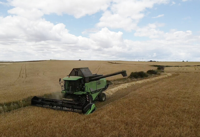 Oogst Spaans stro | drone | Berg Fourage