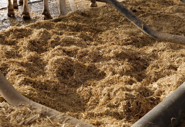 Licht kalkmengsel in boxen | Berg Fourage