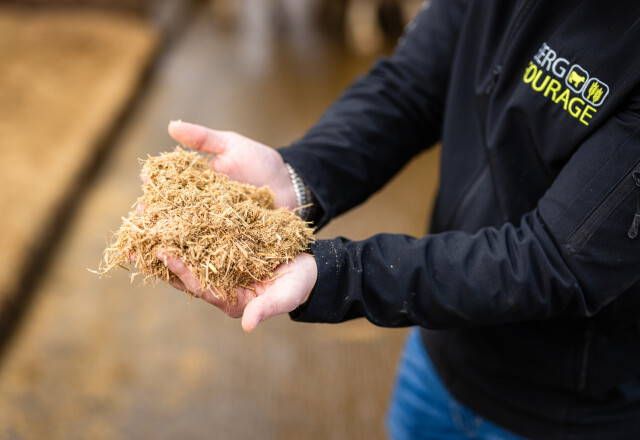 Kalkmengsels Berg Fourage